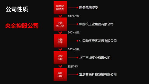 新囍聯(lián)新產(chǎn)品新模式渠道商啟動大會圓滿召開，開啟互聯(lián)網(wǎng)數(shù)據(jù)服務(wù)新篇章